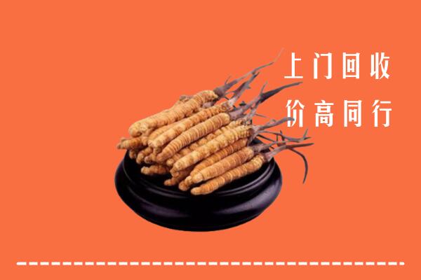 高价求购：廊坊香河县回收散虫草