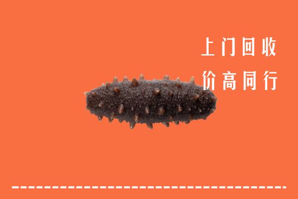 高价求购：廊坊香河县回收海参