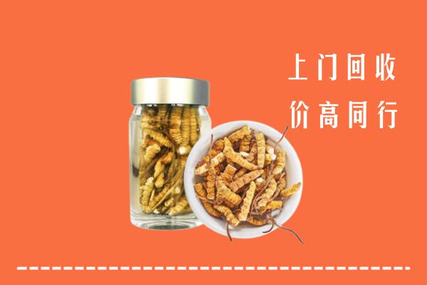 廊坊香河县回收冬虫夏草